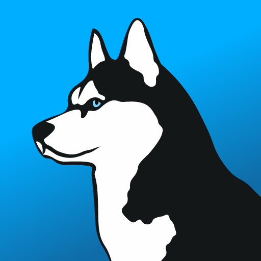 Phone Guardian VPN Datenschutz