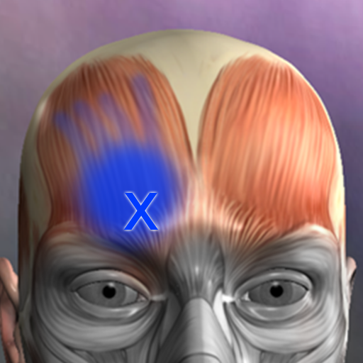Muskel Triggerpunkte Anatomie
